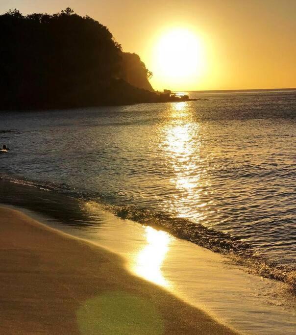 Caraibes Cottage Grenat Piscine Privee 900M De Grande Anse Deshaies Dış mekan fotoğraf