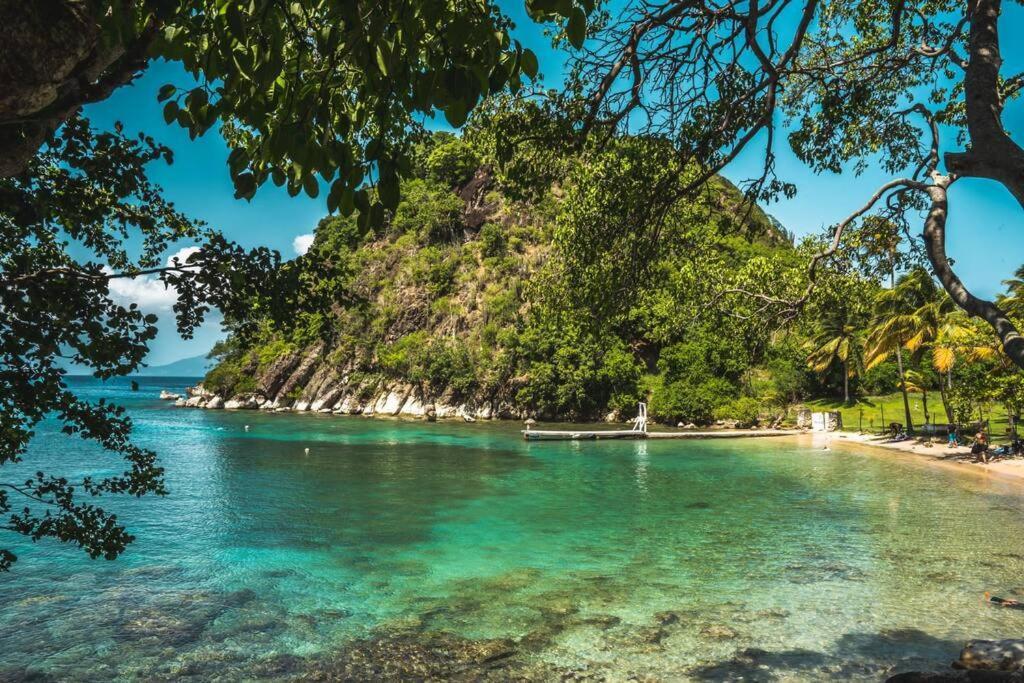 Caraibes Cottage Grenat Piscine Privee 900M De Grande Anse Deshaies Dış mekan fotoğraf