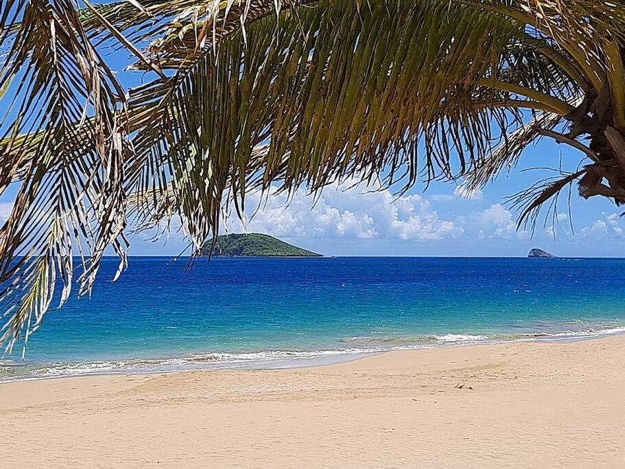 Caraibes Cottage Grenat Piscine Privee 900M De Grande Anse Deshaies Dış mekan fotoğraf