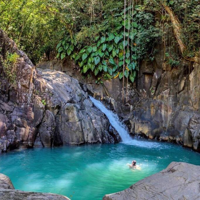 Caraibes Cottage Grenat Piscine Privee 900M De Grande Anse Deshaies Dış mekan fotoğraf