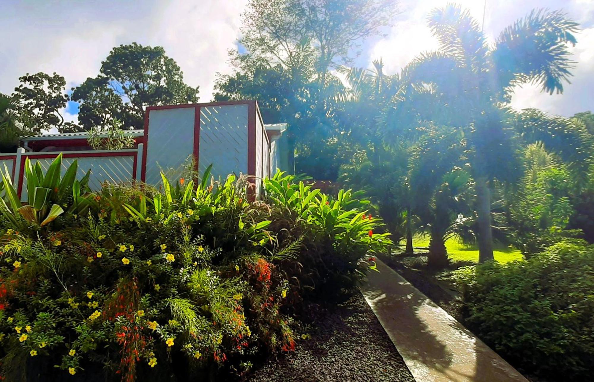 Caraibes Cottage Grenat Piscine Privee 900M De Grande Anse Deshaies Dış mekan fotoğraf