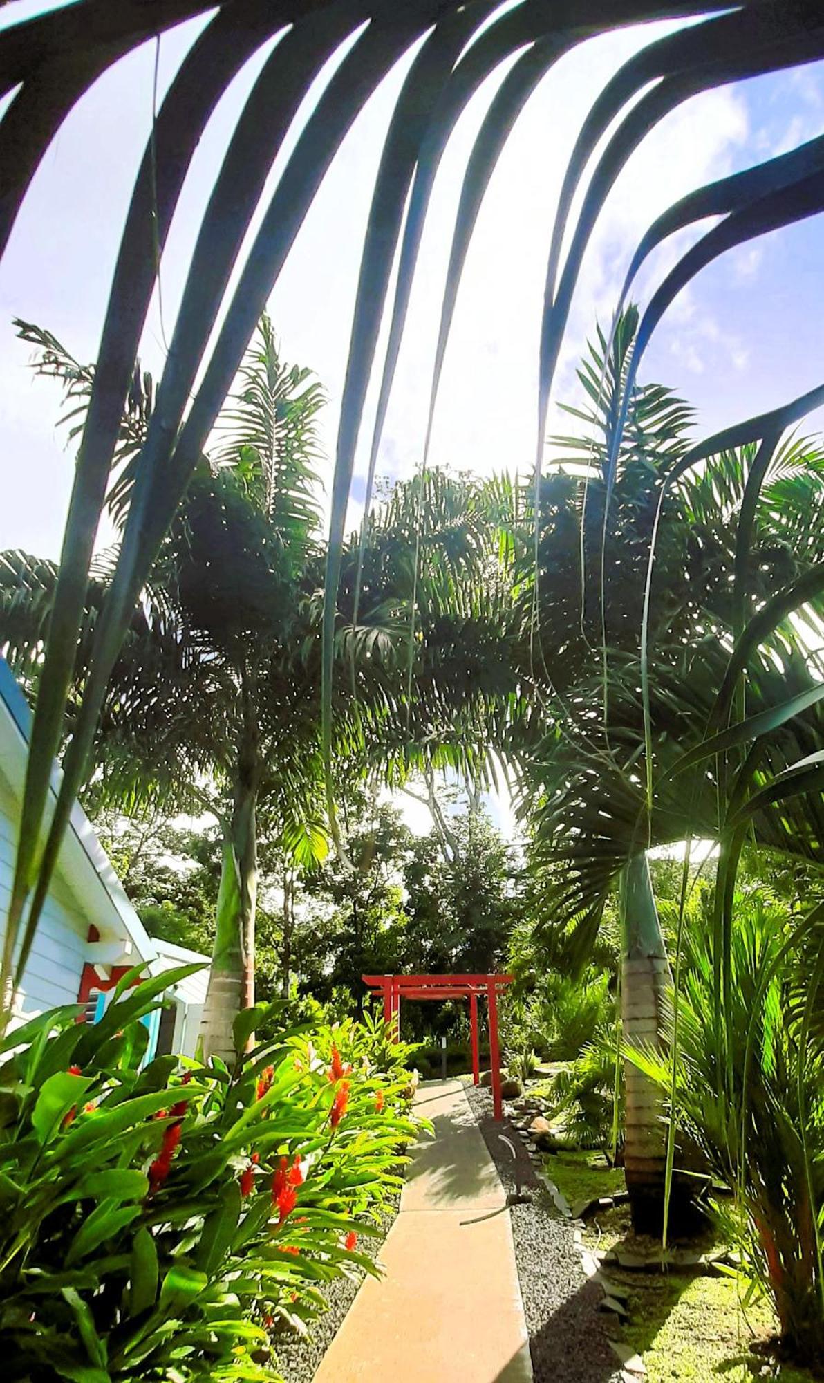 Caraibes Cottage Grenat Piscine Privee 900M De Grande Anse Deshaies Dış mekan fotoğraf