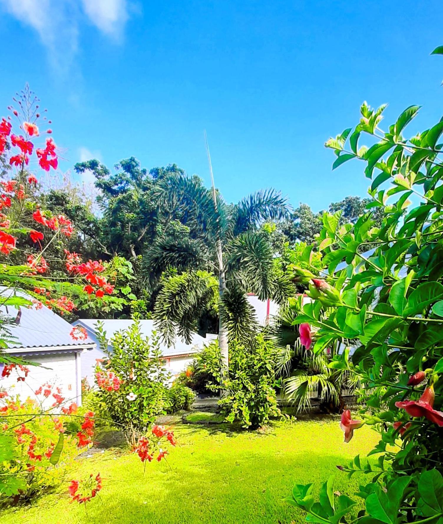 Caraibes Cottage Grenat Piscine Privee 900M De Grande Anse Deshaies Dış mekan fotoğraf